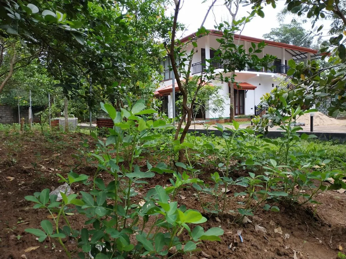 Sigiriya Cashew Palace Resort Daganapothaha